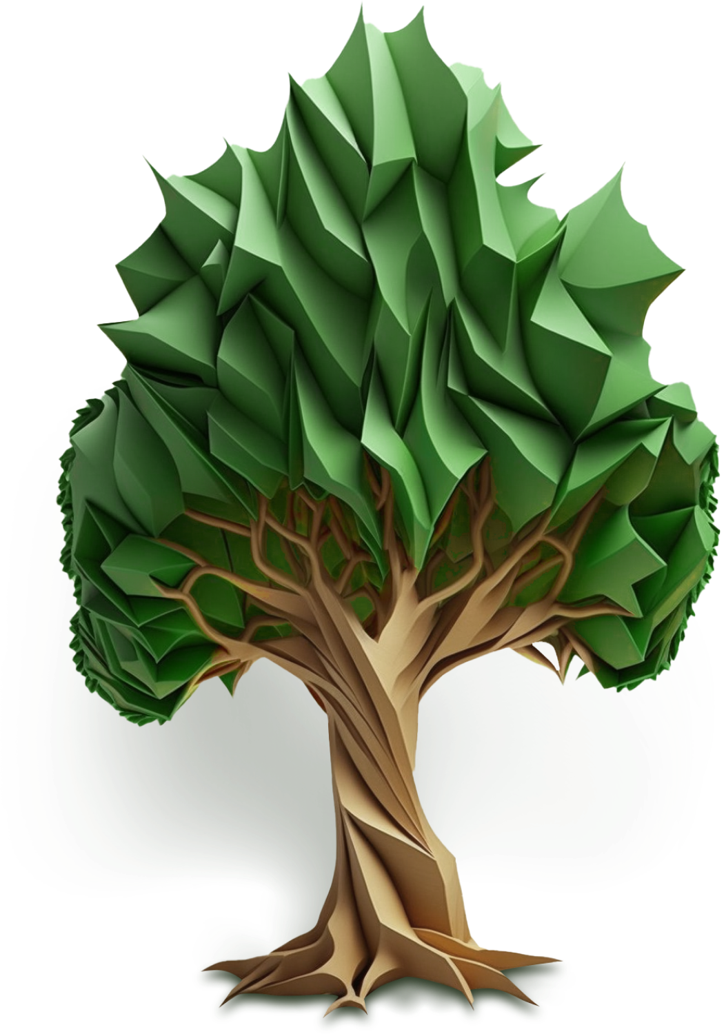 A fully mature tree