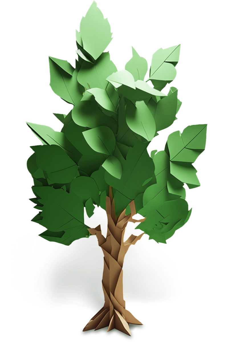 A young tree